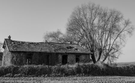 Old house no lifeの写真素材