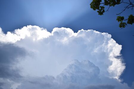 summer cloudの写真素材
