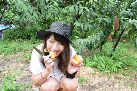Flesh fruit picking girl at outer placeの写真素材