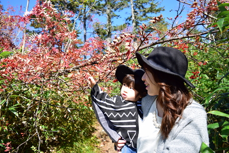 young japanese mother is playing with her sonの写真素材