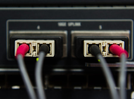 Fiber Optic connect to Gbit switch