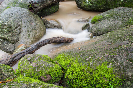 little water fall flow pass the rockの写真素材