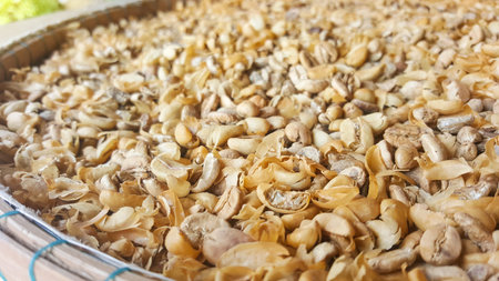 Raw coffee bean with peel on basket out door