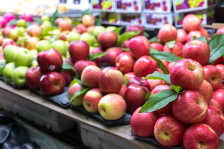 Fresh red and green apple in the fruit market.の写真素材