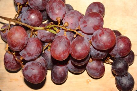grape on brackground.の写真素材