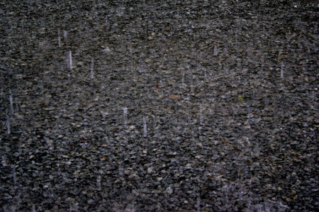 Rain makes a refreshing world.の写真素材