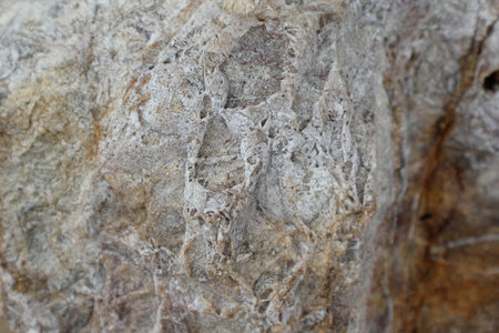 The color and texture of the sea stones.