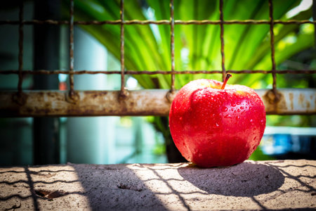 fresh red apple on cement wall with cage,lighting and shadow style.の写真素材