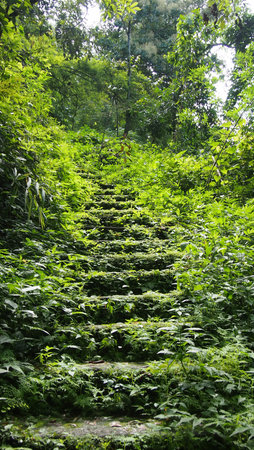 nature trailsの写真素材