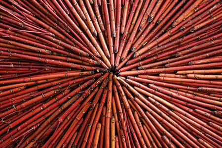 The ornamental artwork composited with red stalksの写真素材