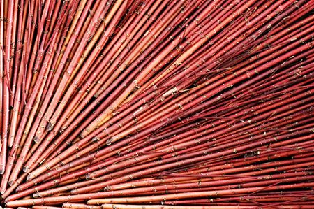 The ornamental artwork composited with dried stalksの写真素材