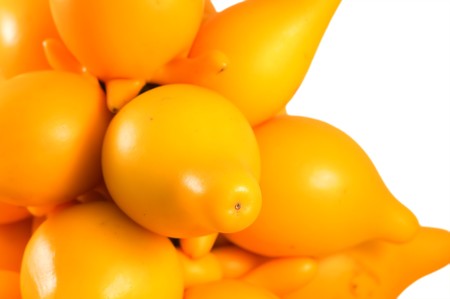 Ornamental solanum mammosum plant, representing lucky symbols in Chinese New Year, isolated over white の写真素材