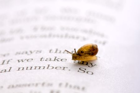 A small snail moving over book chapterの写真素材
