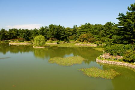 Garden with trees and pondの写真素材