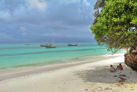 tropical beachの写真素材
