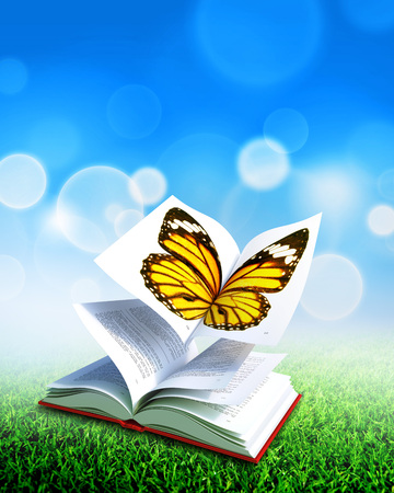 Red hardcover book open in its middle, as the wings of a butterflyの写真素材
