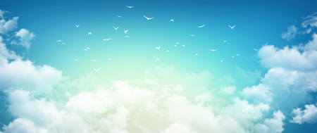 High resolution morning sky background, sunlight through white clouds and free birds flying awayの写真素材