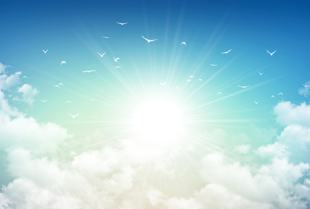 Morning sky background, sunlight through white clouds and free birds flying awayの写真素材