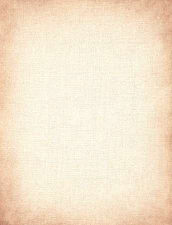 Old blank sheet of paper. Parchment textured background - Vintage materialの写真素材