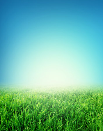 Meadow and green field under a blue peaceful sky in morning sunlightの写真素材