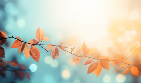 Abstract autumn nature background, with leaves on a branch, glowing sun and warm seasonal colorsの素材