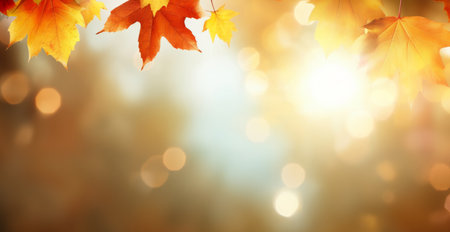 Abstract autumn nature background, with leaves, glowing sun and warm seasonal colorsの素材