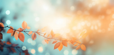 Abstract autumn nature background, with leaves on a branch, glowing sun and warm seasonal colorsの素材