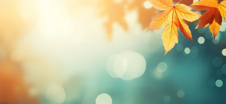 Abstract autumn nature background, with leaves, glowing sun and warm seasonal colorsの素材