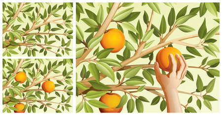 Set of backgrounds with leaves and fruits in pastel colors. Vector print illustrationのイラスト素材