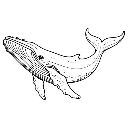Graceful whale illustration perfect for kids marine and ocean themed coloring funのイラスト素材
