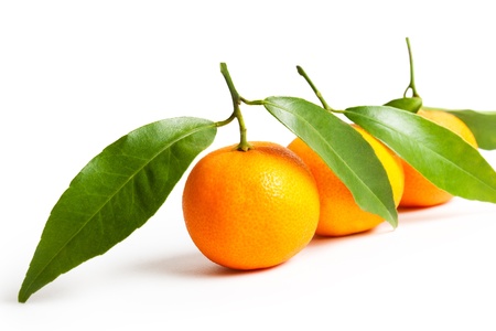 ripe tangerines with leavesの写真素材
