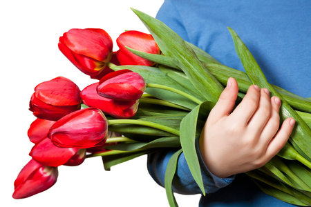 bouquet of tulipsの写真素材