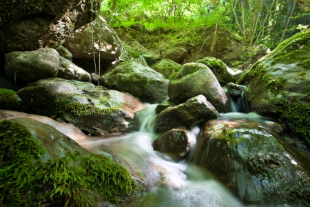 forest waterfallの写真素材
