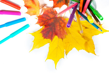 markers and yellow leafs on the whiteの写真素材