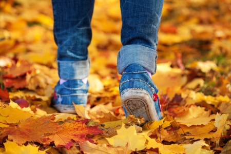 woman s feet on a yellow autumn leafs backgroundの写真素材