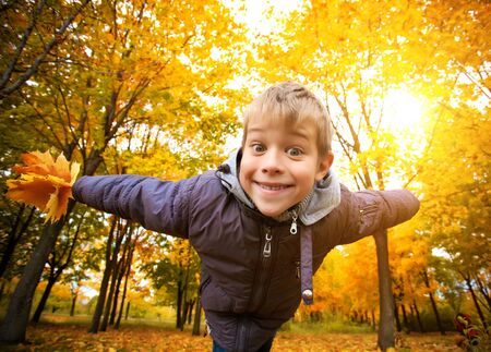 boy on a yellow autumn trees backgroundの写真素材