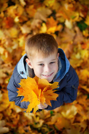 kid on a background of  autumn leafs  top viewの写真素材