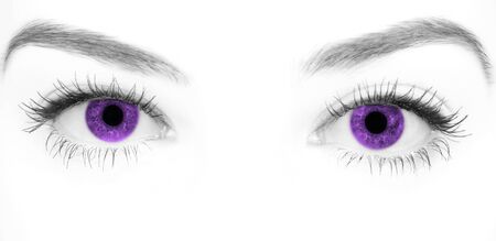 Close-up beautiful female purple eyeの写真素材