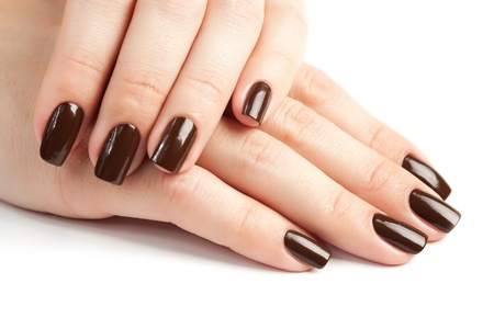 Hands with brown  isolatedの写真素材