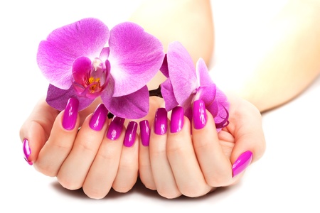 female hands with pink orchid  isolatedの写真素材