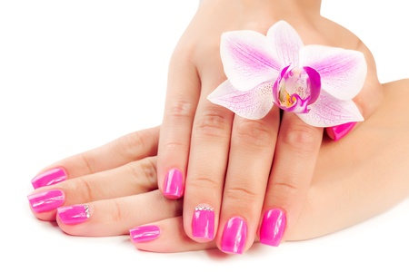 manicure with orchid flower  isolatedの写真素材