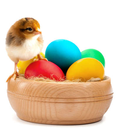 small chick with easter eggsの写真素材