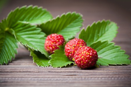 fresh strawberries with leavesの写真素材