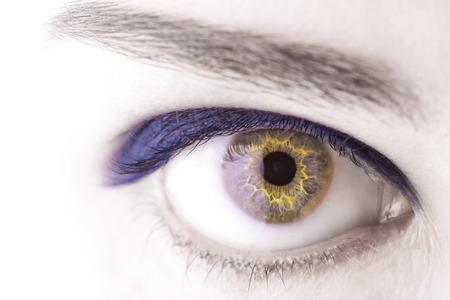 Blue woman eye macro shotの写真素材