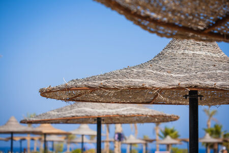 parasol on the beach の写真素材