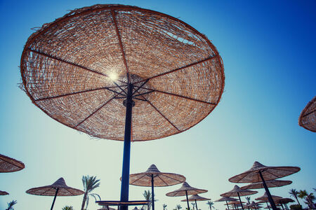 parasol on the beachの写真素材