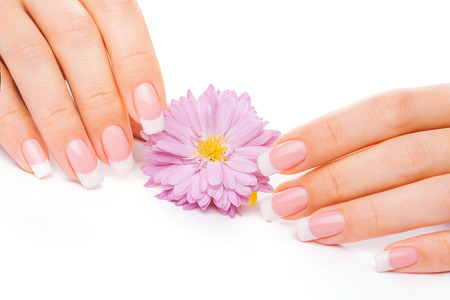 beautiful french manicure with chrysanthemum on whiteの写真素材