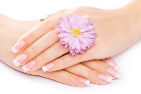 beautiful french manicure with chrysanthemum on whiteの写真素材