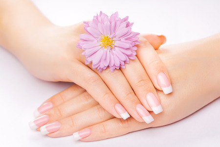 beautiful french manicure with chrysanthemum on whiteの写真素材