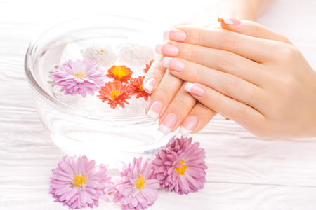 beautiful french manicure with chrysanthemum on whiteの写真素材